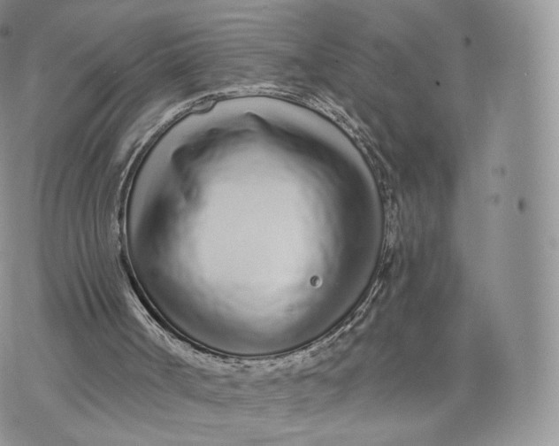 X0000072940002200608111612