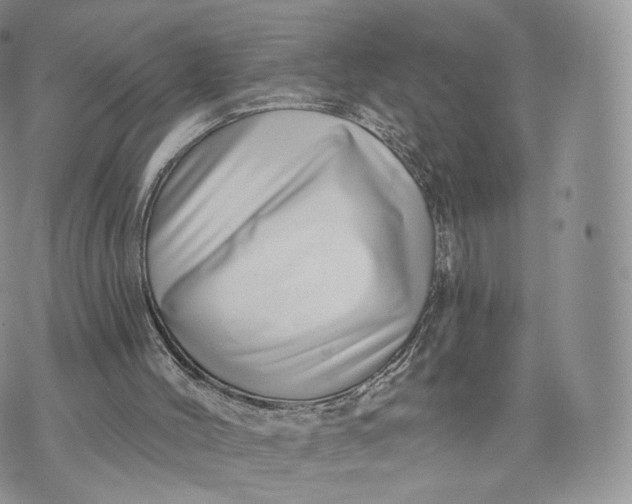 X0000072940004200608111612