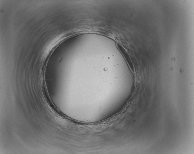 X0000072940005200608111612