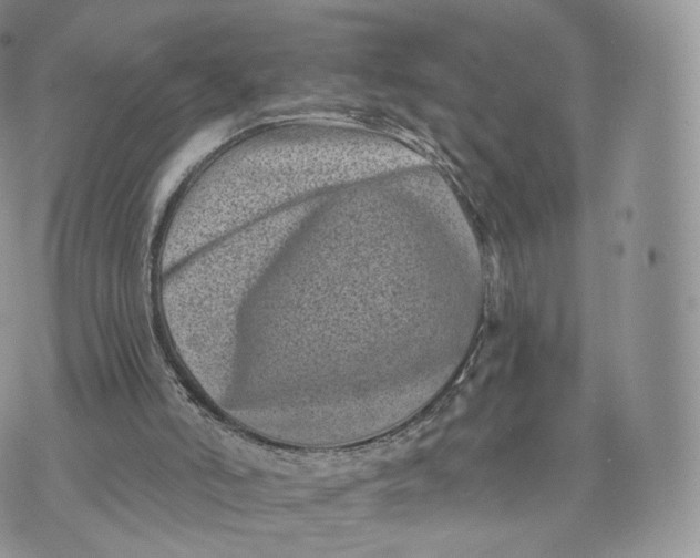 X0000072940006200608111612