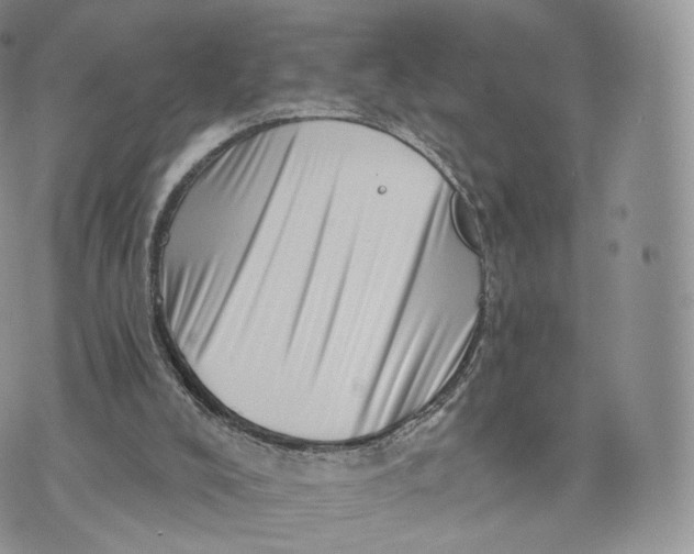 X0000072940008200608111612