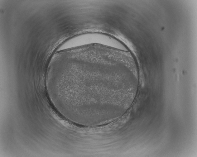 X0000072940009200608111612