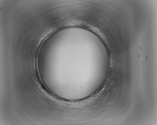 X0000072940010200608111612