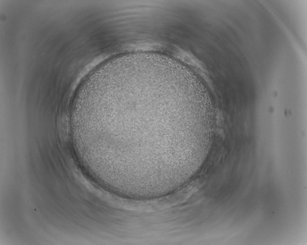 X0000072940012200608111612