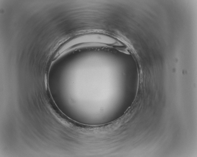 X0000072940013200608111612