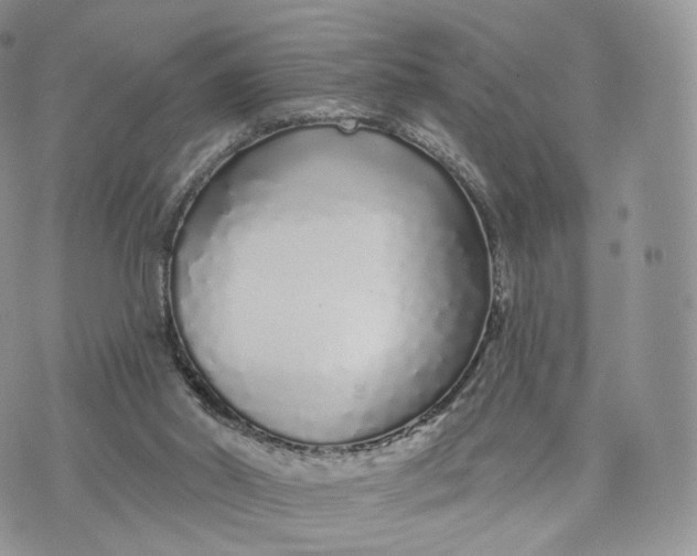 X0000072940014200608111612