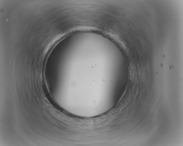 X0000072940015200608111612