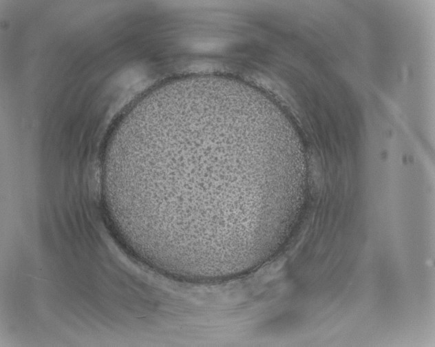 X0000072940016200608111612