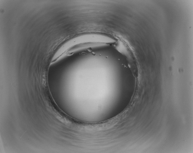 X0000072940017200608111612