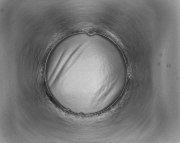 X0000072940018200608111612