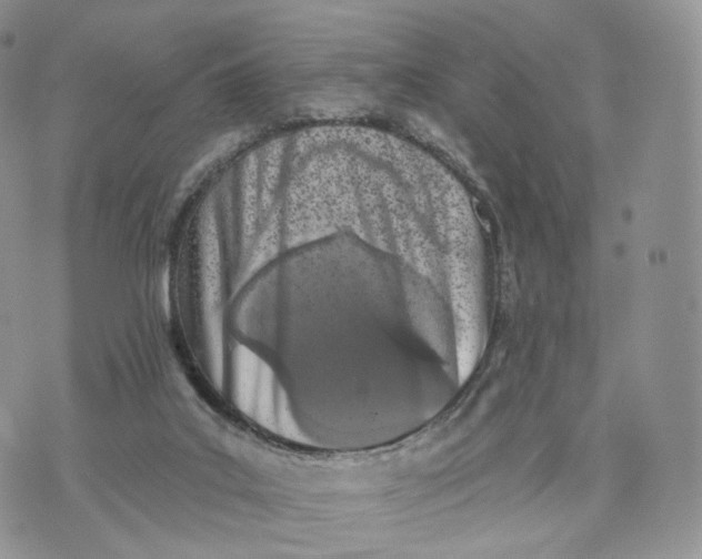 X0000072940019200608111612