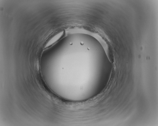 X0000072940021200608111612