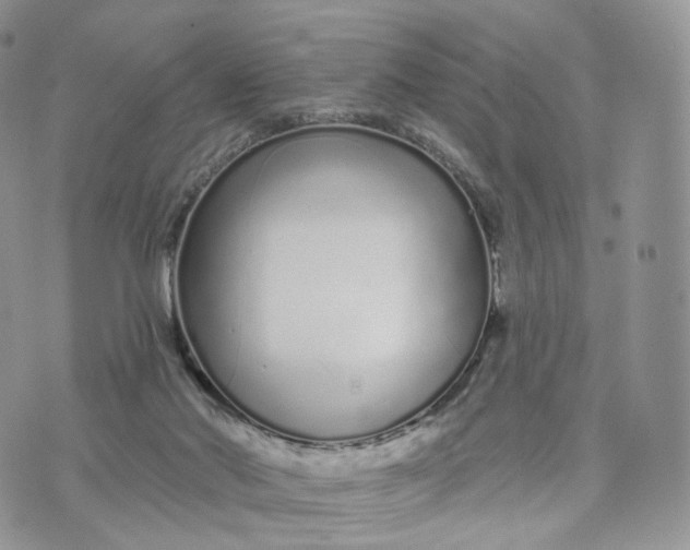 X0000072940022200608111612