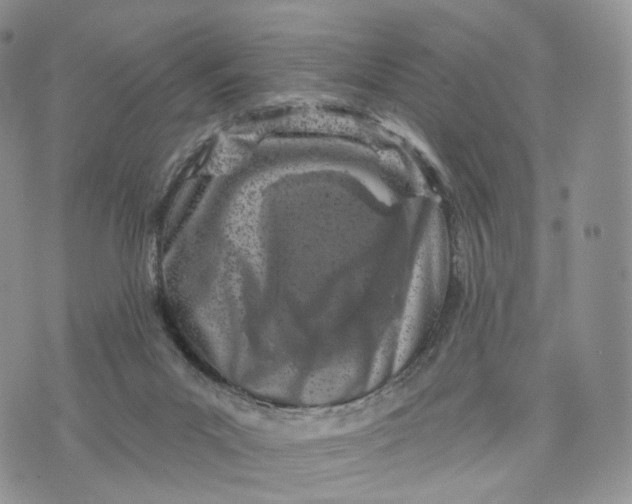 X0000072940023200608111612