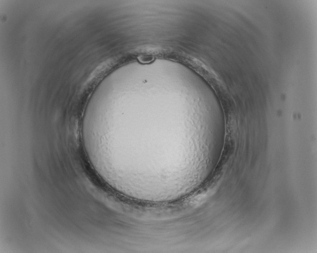 X0000072940024200608111612