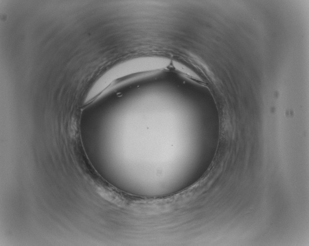 X0000072940025200608111612