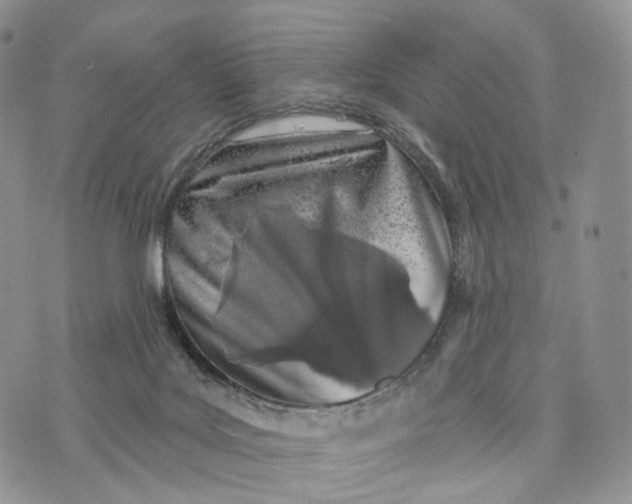 X0000072940027200608111612