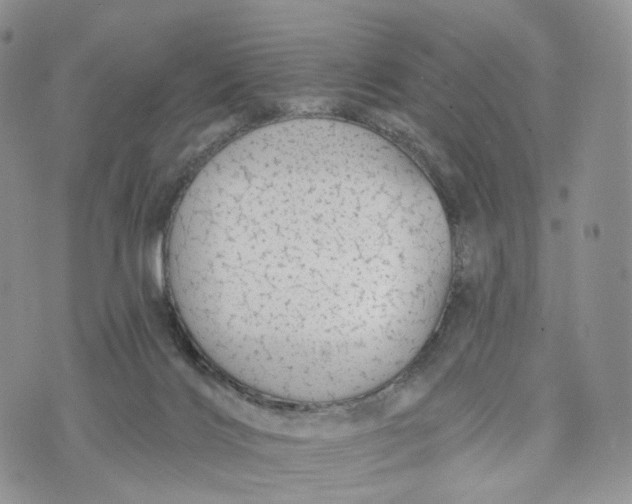 X0000072940028200608111612