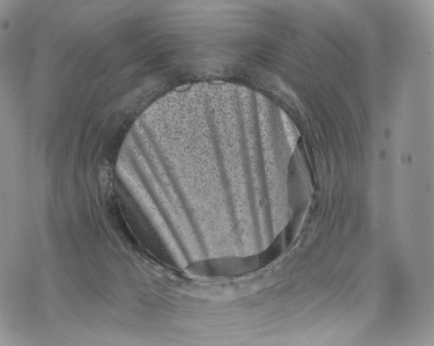 X0000072940029200608111612