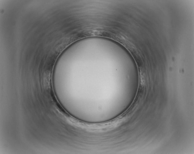 X0000072940030200608111612