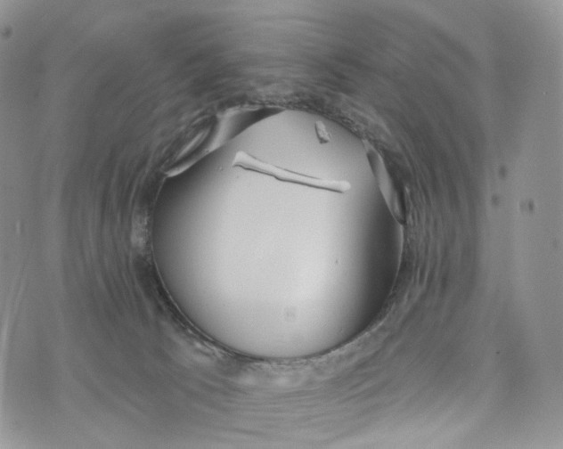 X0000072940033200608111611