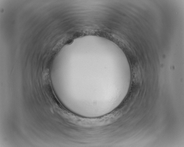 X0000072940034200608111611