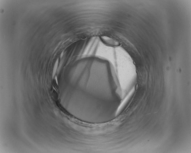 X0000072940035200608111611