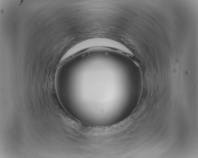 X0000072940037200608111611