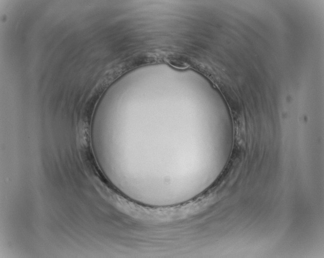 X0000072940038200608111611