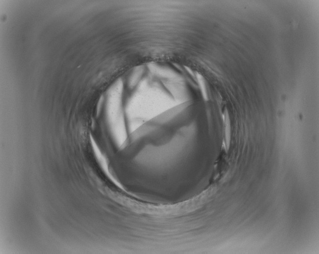 X0000072940039200608111611