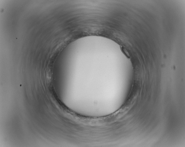 X0000072940040200608111611