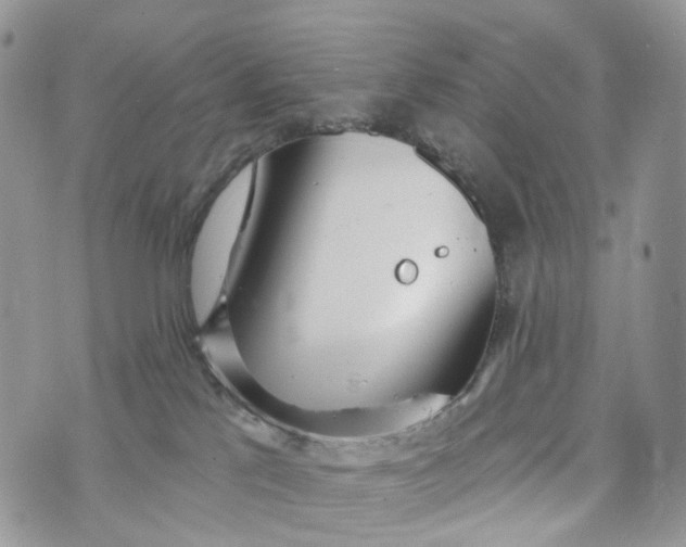 X0000072940041200608111611