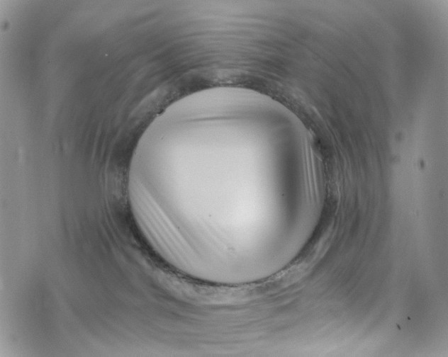 X0000072940044200608111611