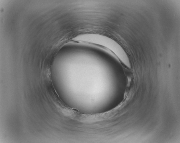 X0000072940045200608111611