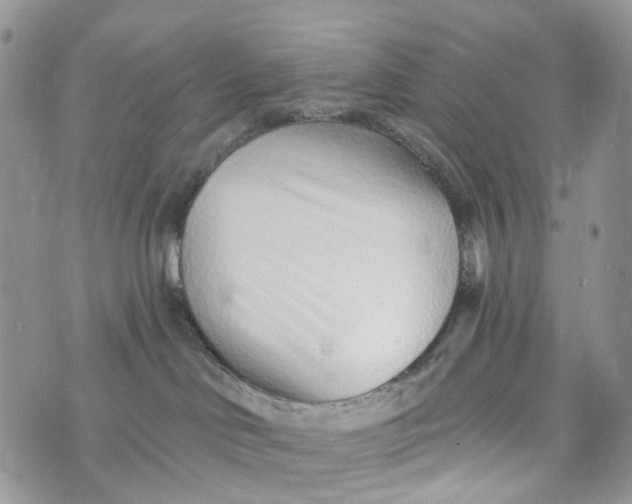 X0000072940046200608111611