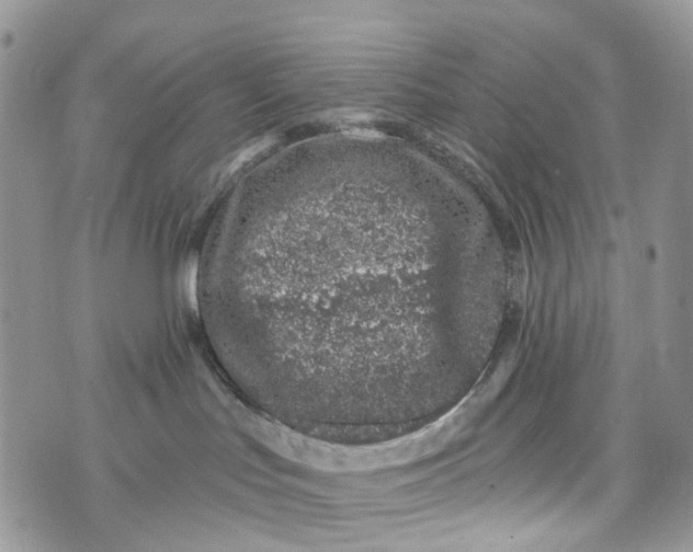 X0000072940047200608111611