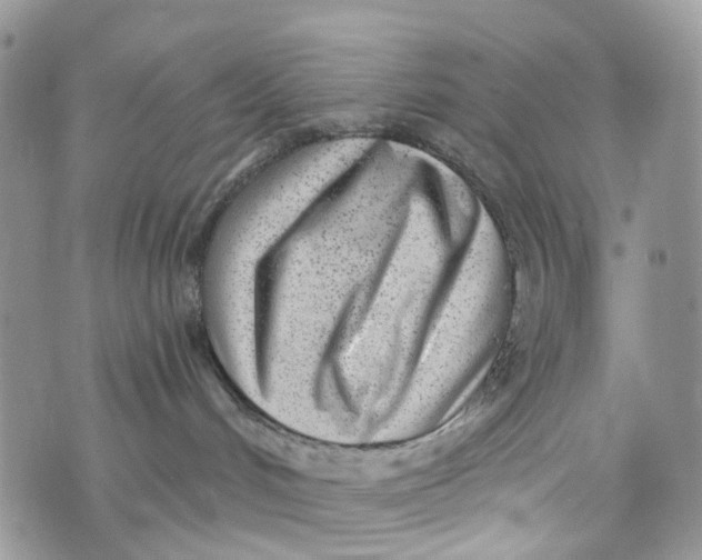 X0000072940048200608111611