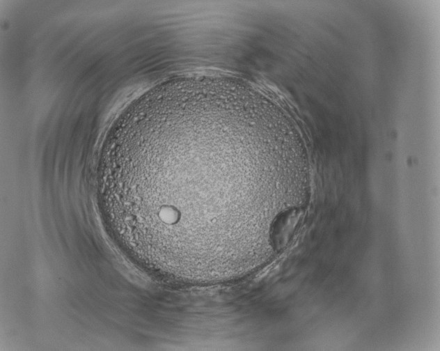 X0000072940049200608111610