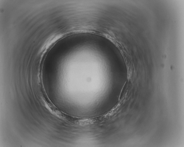 X0000072940050200608111610