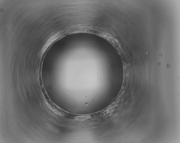 X0000072940051200608111610