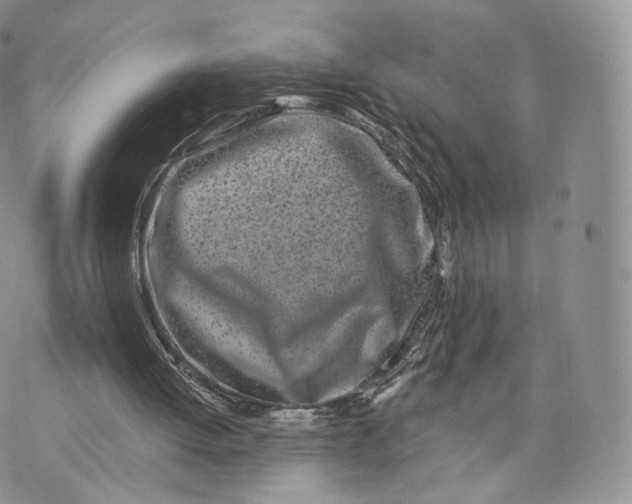 X0000072940052200608111610