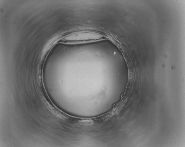 X0000072940053200608111611