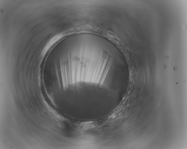 X0000072940054200608111611