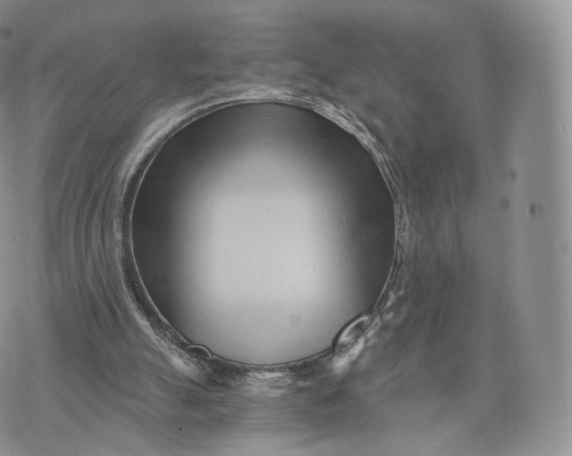 X0000072940055200608111611