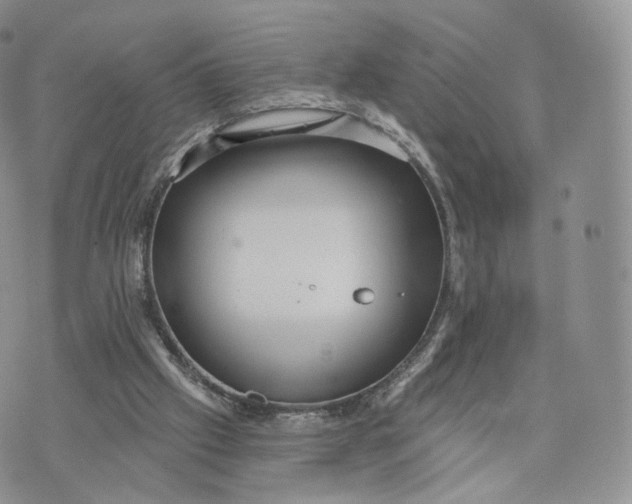 X0000072940057200608111611