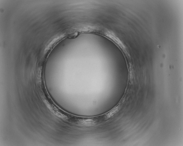 X0000072940058200608111611