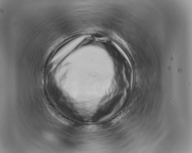 X0000072940059200608111611