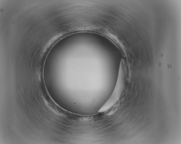 X0000072940060200608111611