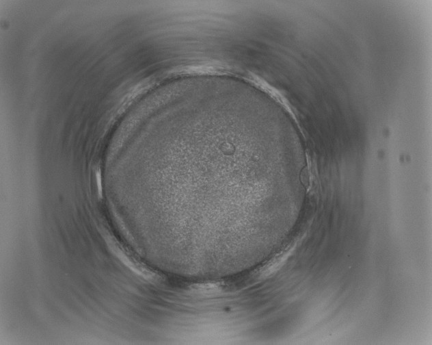 X0000072940061200608111611