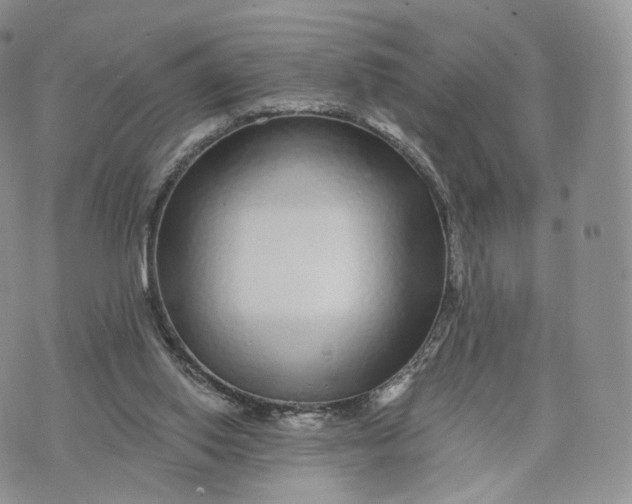 X0000072940062200608111611